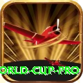 2019 world cup Mega - Win Real PKR