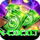 afghanistan cricket Max v3.6.3