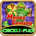 all cricket Turbo Jackpot