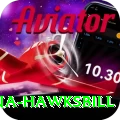 antigua hawksbill Deluxe Pro v1.2.2