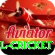 bbl cricket Pro v5.7.1