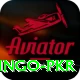 Bingo PKR Master Pro v5.1.2