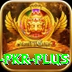 Bingo PKR - Champion Earning App