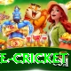 bpl live cricket