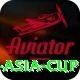 cricbuzz asia cup Ultimate Pro v1.9.8