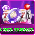 dhampus rice terrace Turbo v1.5.7