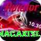 dingboche nagartse Elite Pro v4.4.0