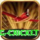 expected goals x g cricket Gold Edition v3.8.0