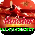fastest ball in cricket Plus Pro v2.5.6