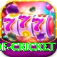 god of cricket Pro Max v4.9.9