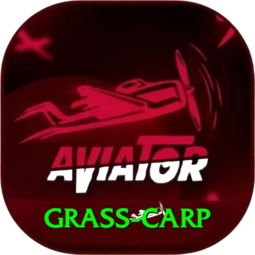 grass carp Master v2.4.4 - 2