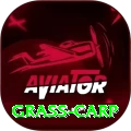 grass carp Master v2.4.4