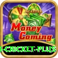 india bangladesh cricket Slot Machine Max