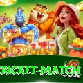 india cricket match Deluxe v5.2.4