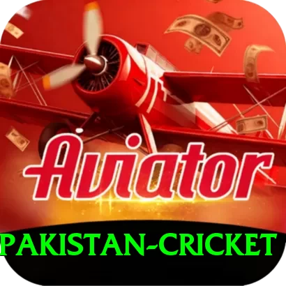 india pakistan cricket Master Pro v2.1.8 - 2