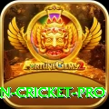 india pakistan cricket APK Prime v3.5.3