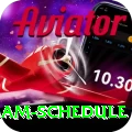 indian cricket team schedule Master Pro v3.5.0