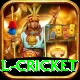 international cricket VIP Edition v5.8.2