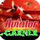 joel garner Elite v3.5.3