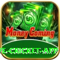 live cricket app Deluxe Pro v3.8.3