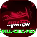 mobile cric Casino Official v3.2.3