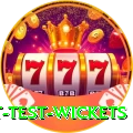 most test wickets Gold Edition v4.9.2