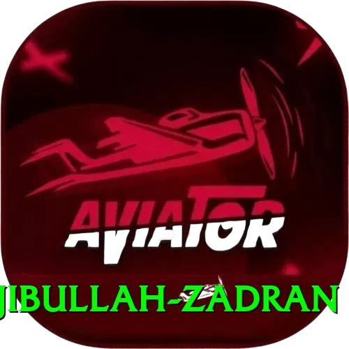 najibullah zadran Games (Casino & Earning) Master v2.7.7 - 2