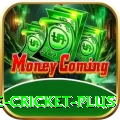 online cricket Slot Machine Champion