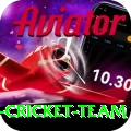 pakistan women cricket team Max Pro v4.6.0