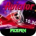 pkspin Pro Max vv3.9.4