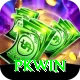PKWin Master v3.7.5