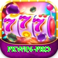 pkwin Pro v4.7.1