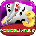 play cricket Gaming Supreme v2.0.2