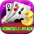 r cricket Plus Slots