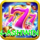 ravichandran ashwin Elite Pro v2.1.8