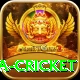sa cricket Apps (Tools & Injectors) Master v2.4.7