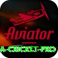 sri lanka cricket Super PK v2.5.0