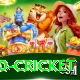 t20 cricket Apps (Tools & Injectors) Turbo v2.6.5
