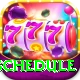 t20 schedule Pro1 v4.2.3