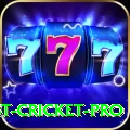test cricket Casino King v4.7.0