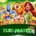 test match Master Pro v4.7.2