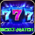 to day cricket match Pro1 v3.2.2