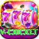 v cricket VIP v2.2.7