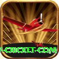 www cricket com Deluxe Edition v5.8.6